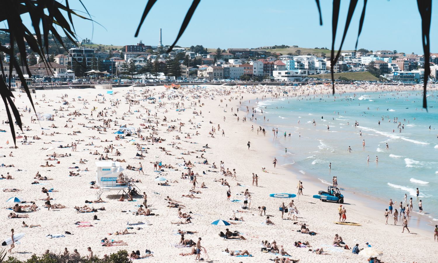 Bondi Beach Sydney beaches