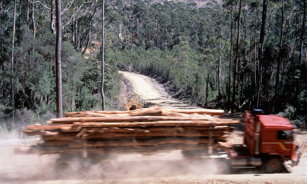 Environment laws need an overhaul and a reivew in Australia, say experts.