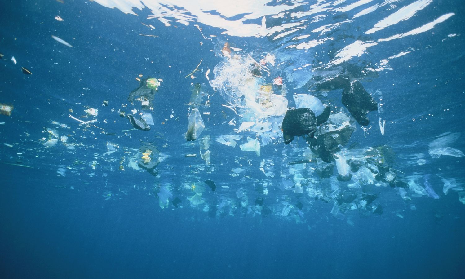 An image showing plastic packaging floating in the ocean. Much of it comes from supermarkets.