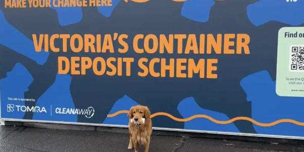 A dog next to a recycling scheme plant in Victoria.