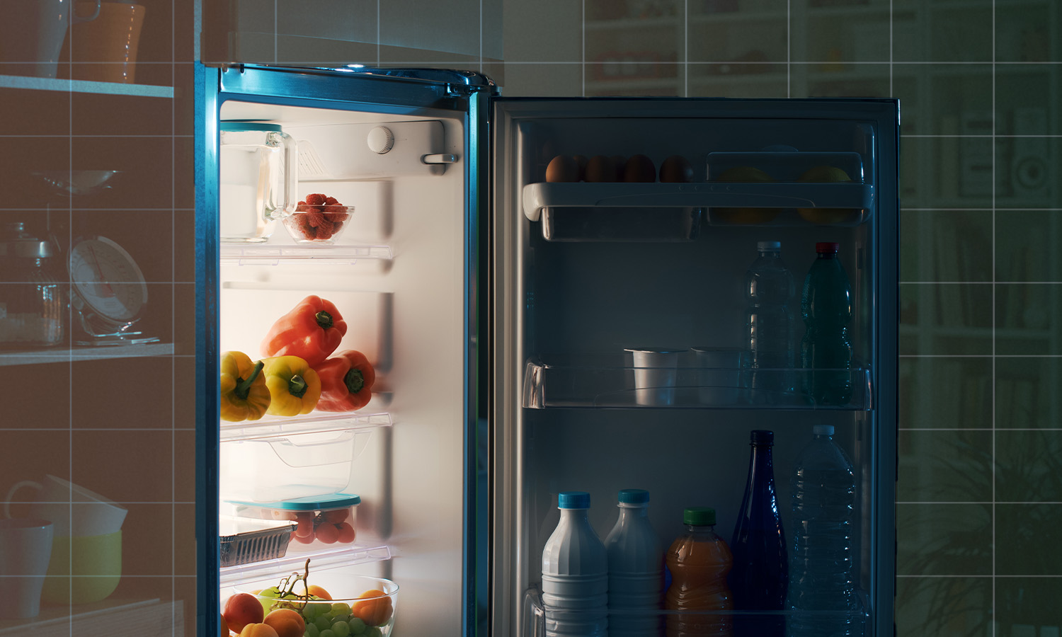 suncorp fridge freezer storage organisation
