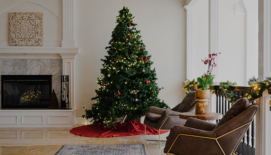 Sustainable Christmas Tree