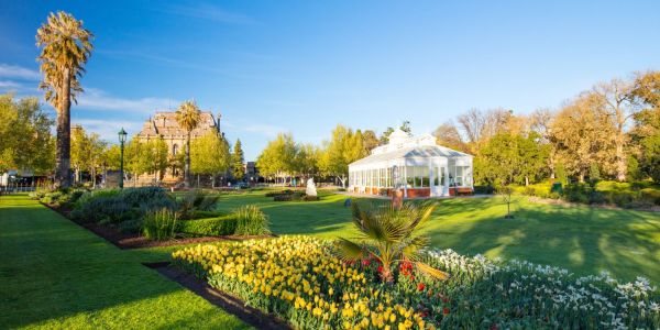 Bendigo top town