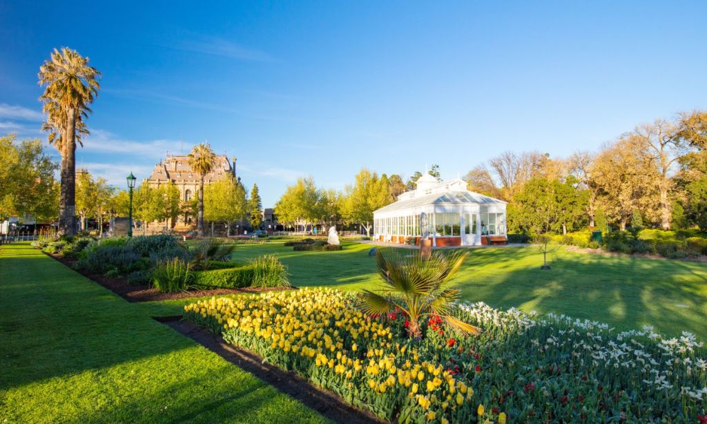 Bendigo top town