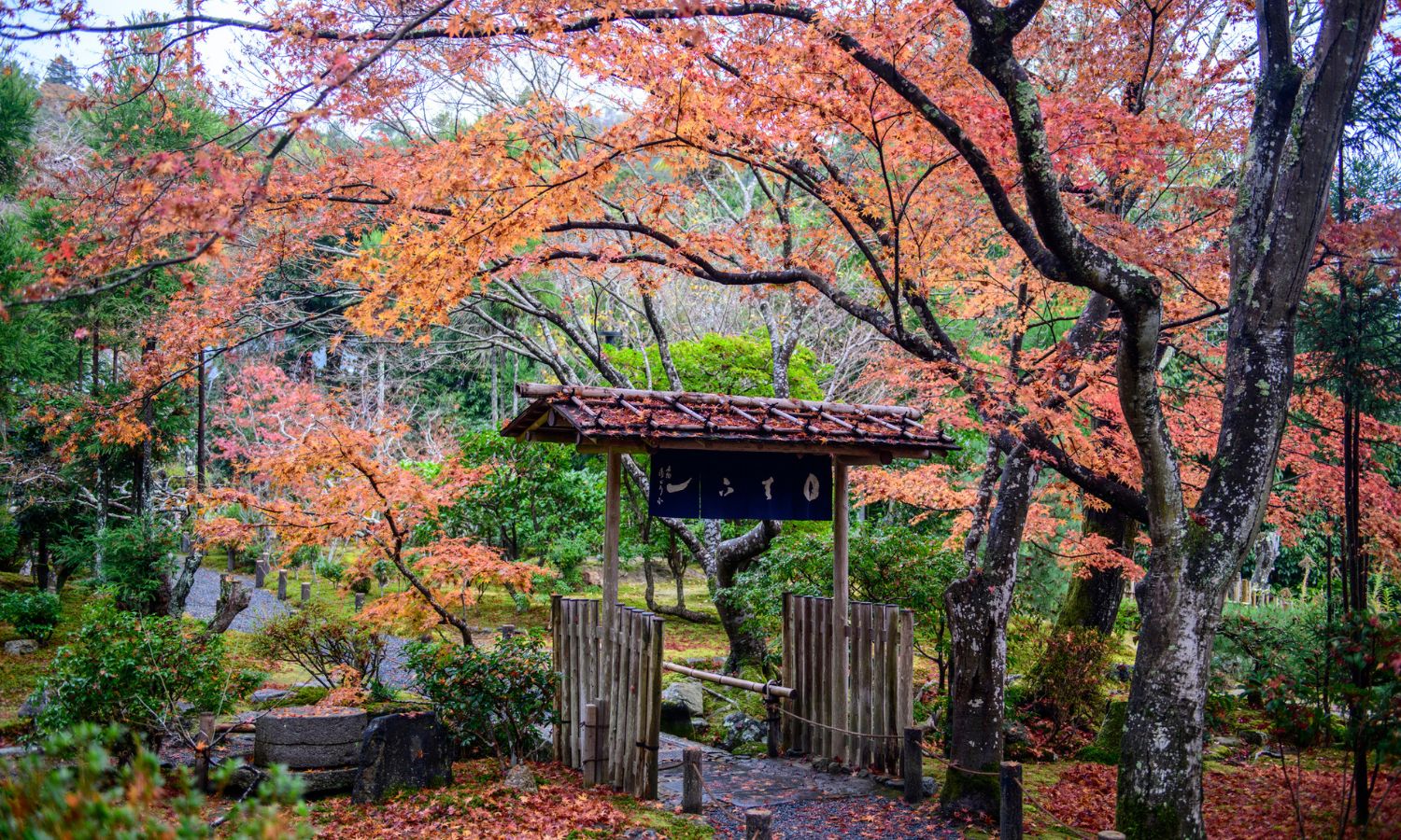 Botanical Gardens Kyoto