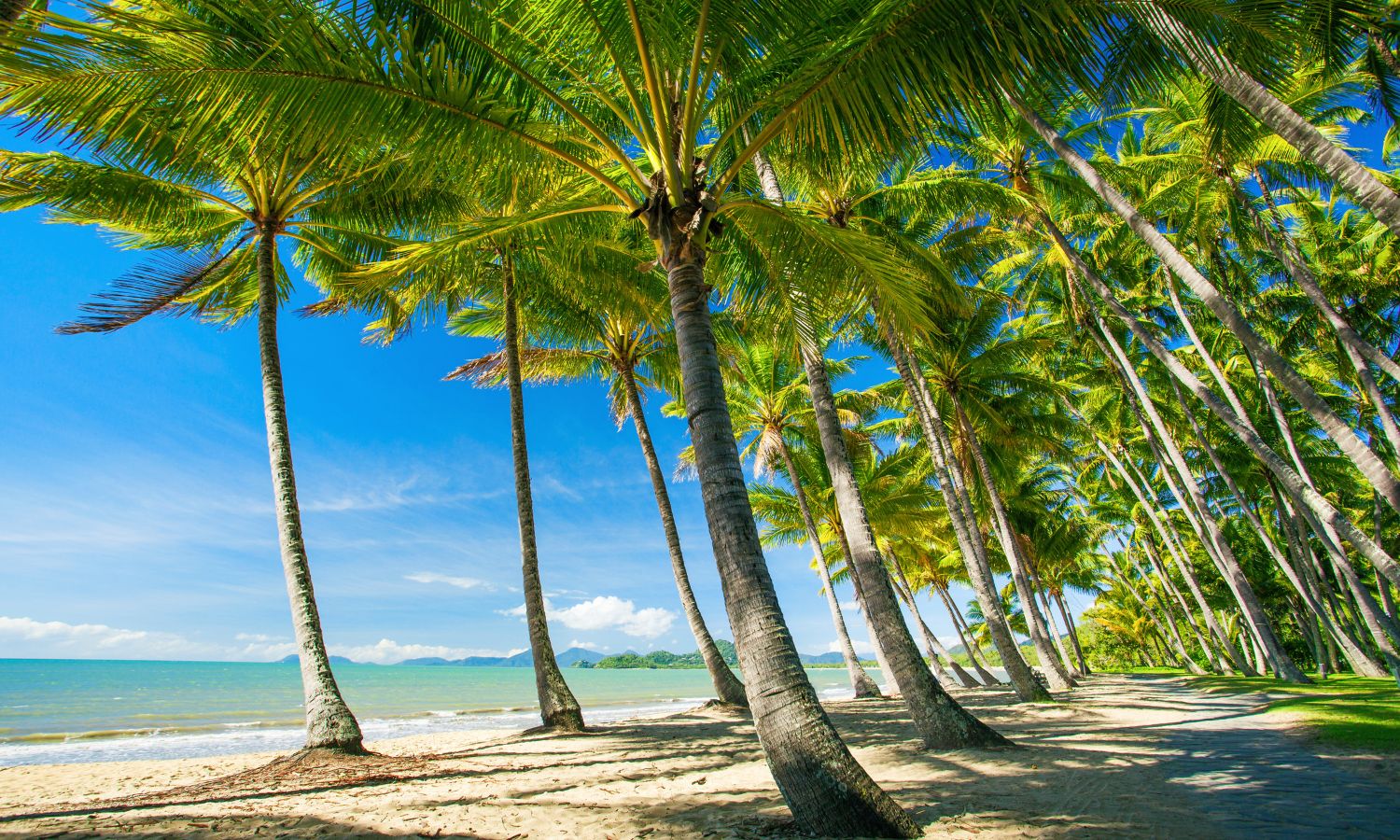 Palm Cove best beaches in the world
