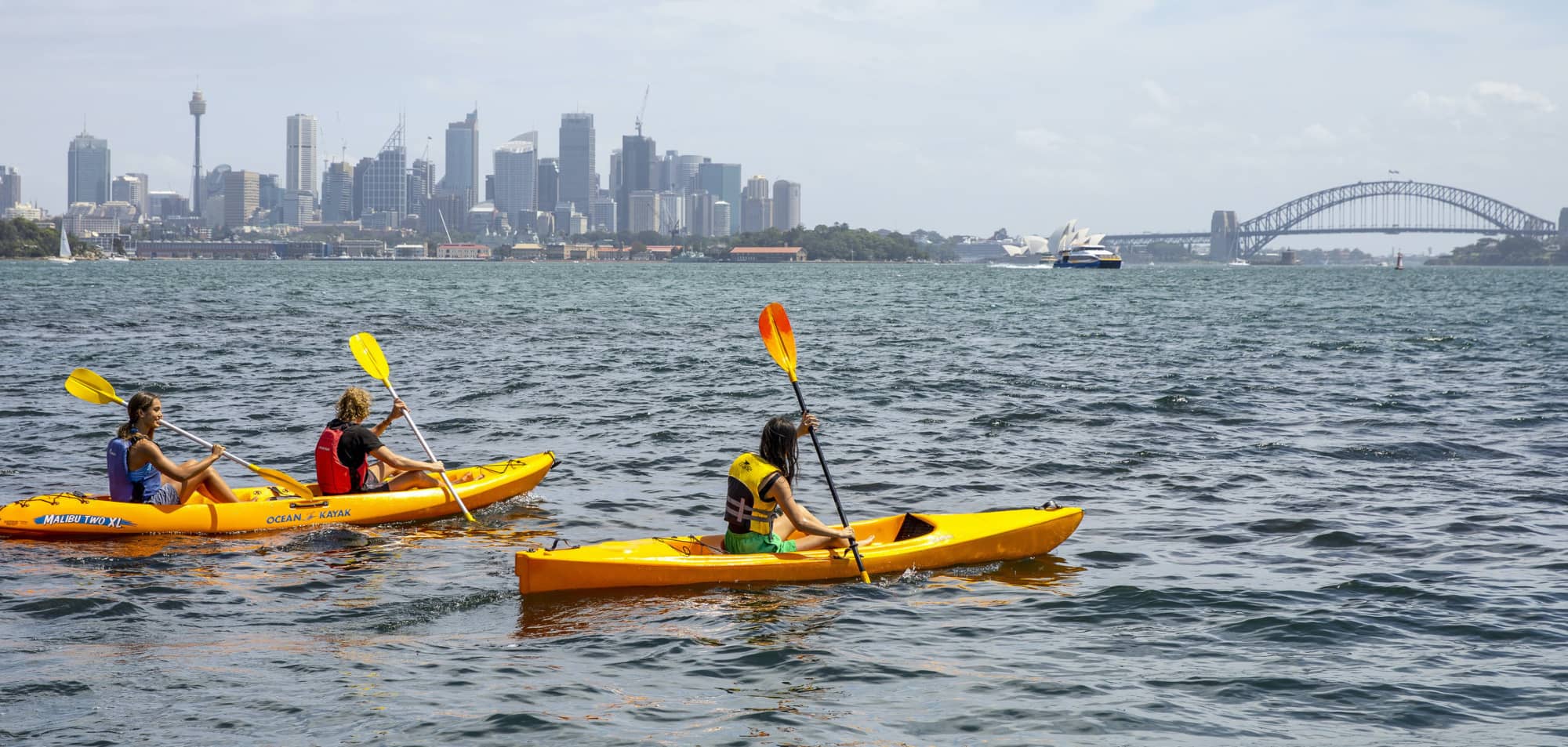 kayaking in the harbour