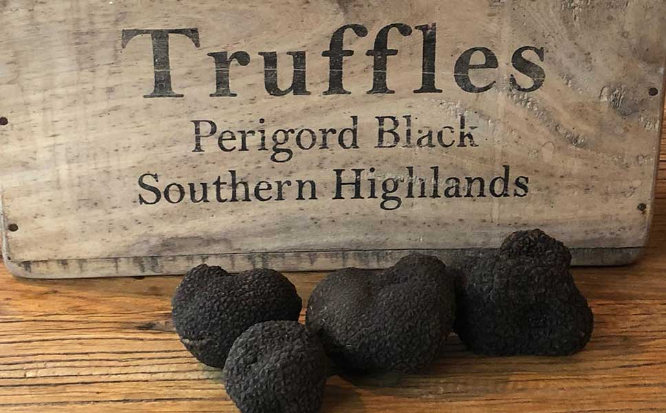 truffle hunting nsw