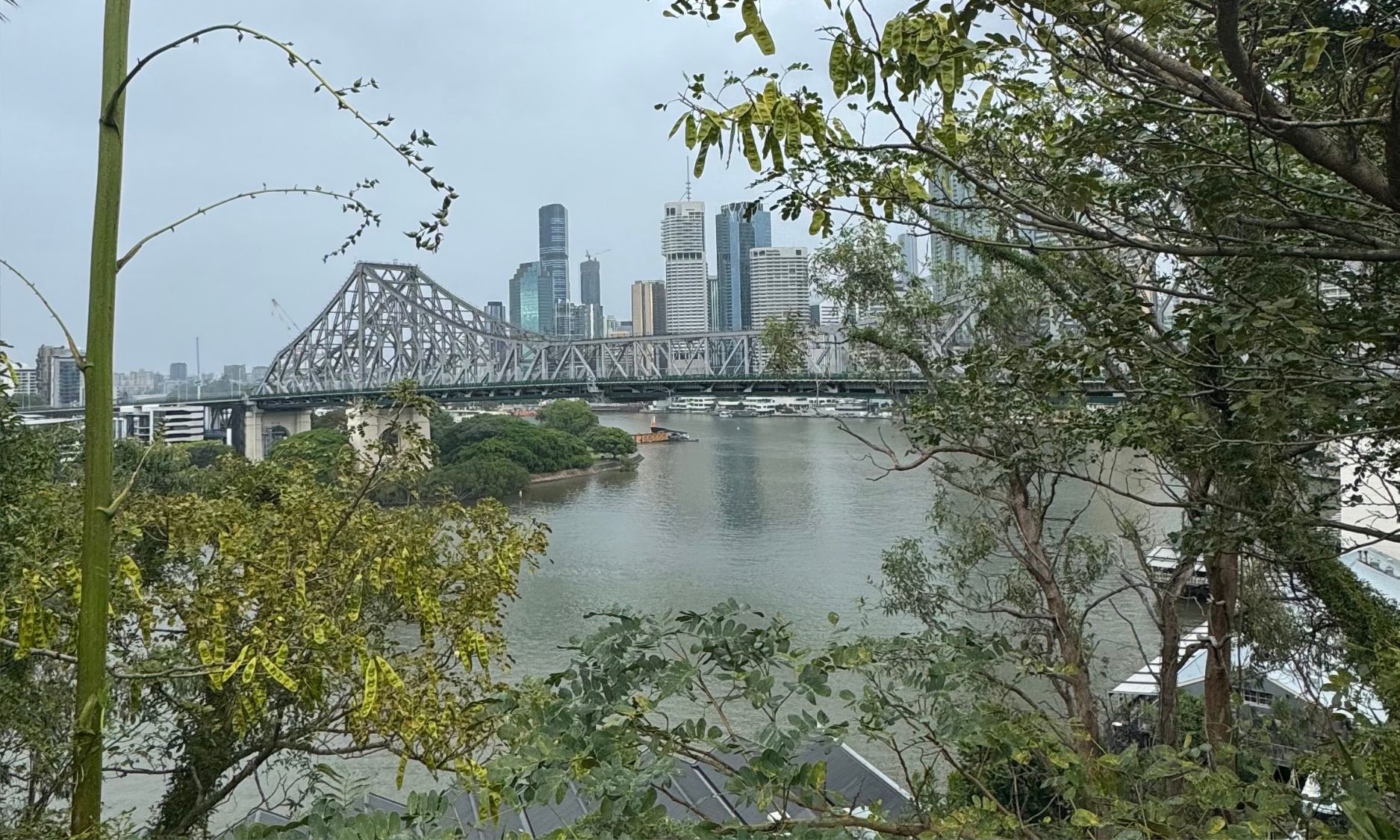 what to do in Brisbane