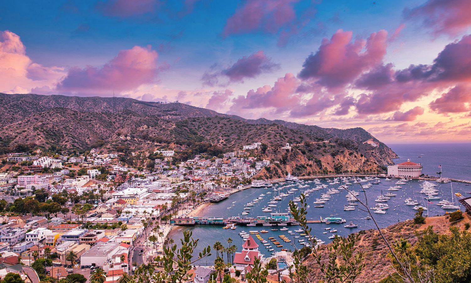 Catalina Island travel destinations 2025