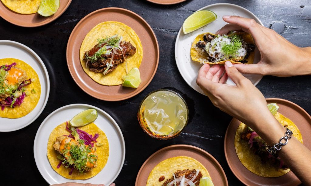 Sydney Mexican restaurants Gitano