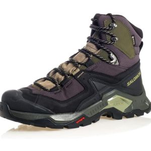 best hiking boots Salomon Men's Quest Element GTX Hiking Shoe