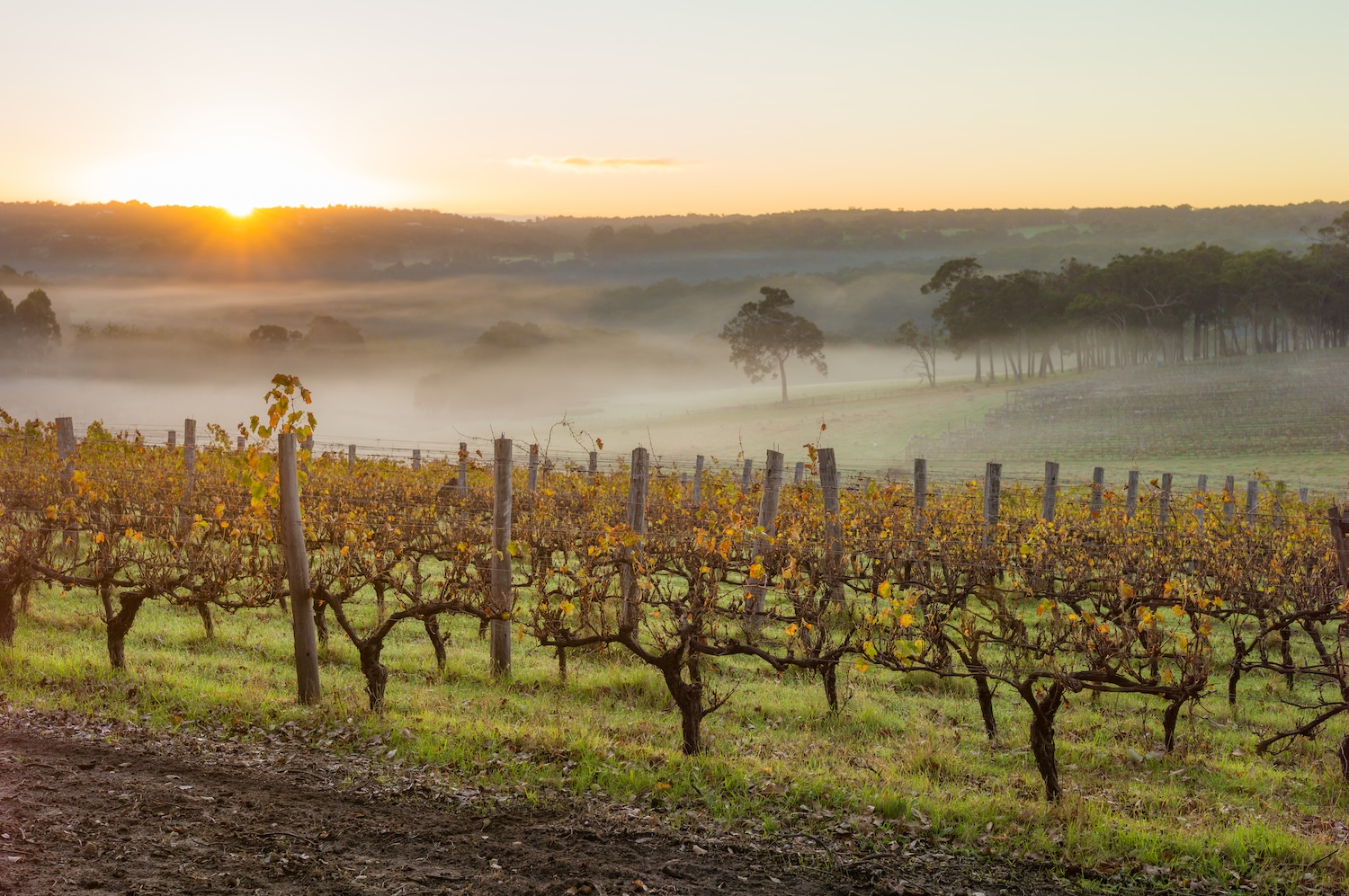 margaret river wa