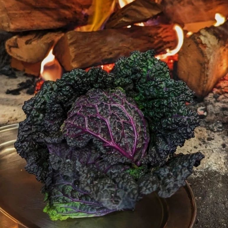 MORETTA DI VERONELLA cabbage food trend