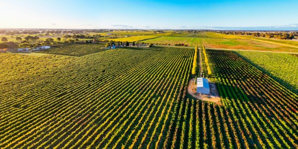 Autumn sunset around the rural country town of Penola in the Coonawarra wine region in South Australia, Australia