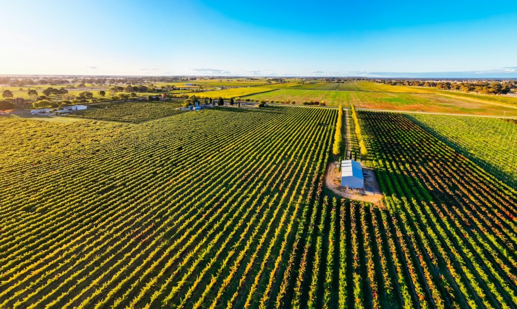 Autumn sunset around the rural country town of Penola in the Coonawarra wine region in South Australia, Australia