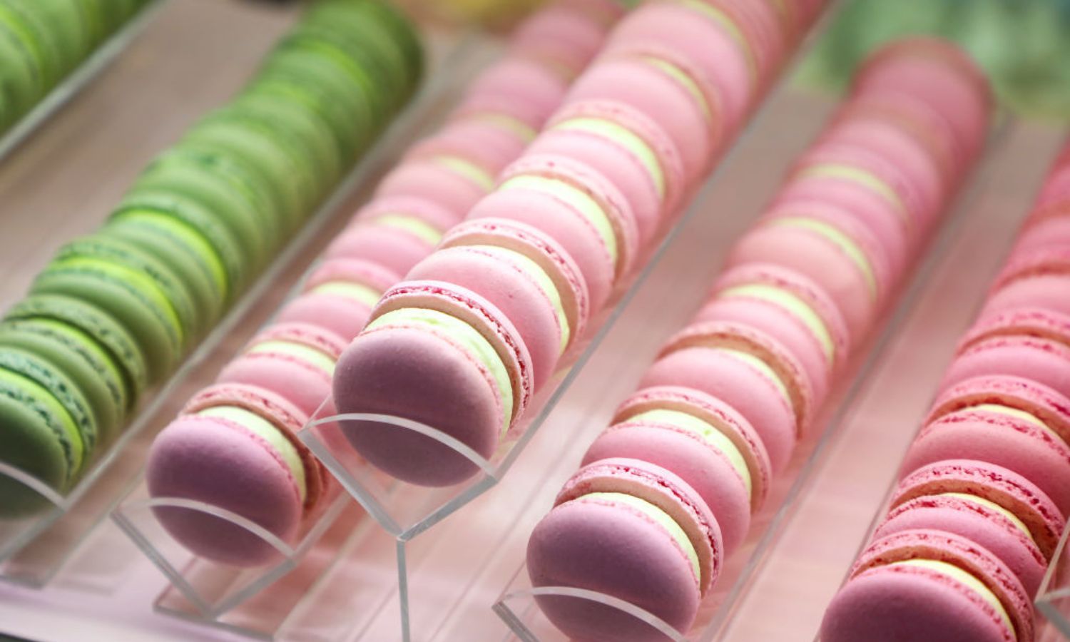 guide to french pastries macaron