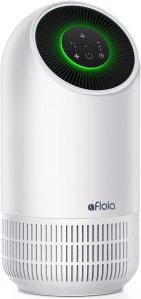 Air purifier for home