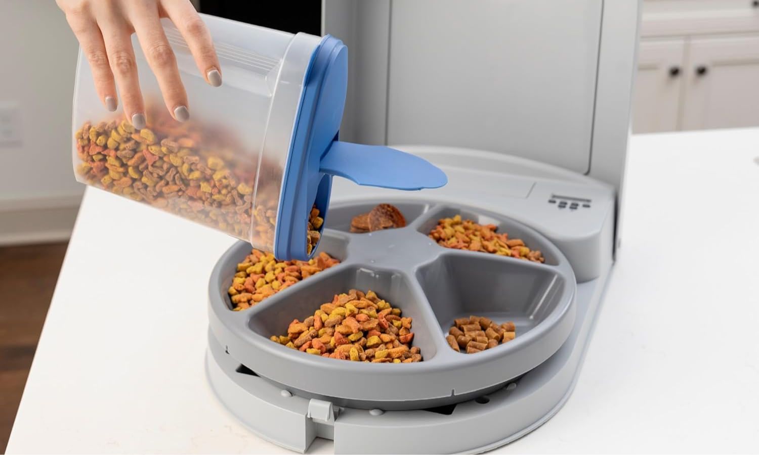 pet feeder Amazon