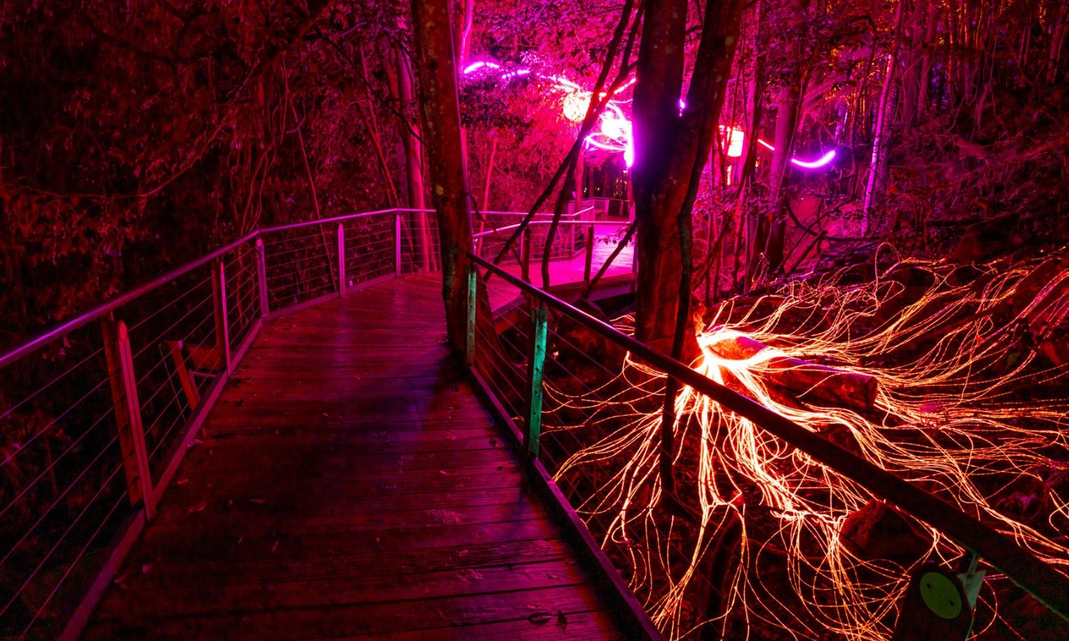 noctourism blue mountains scenic world