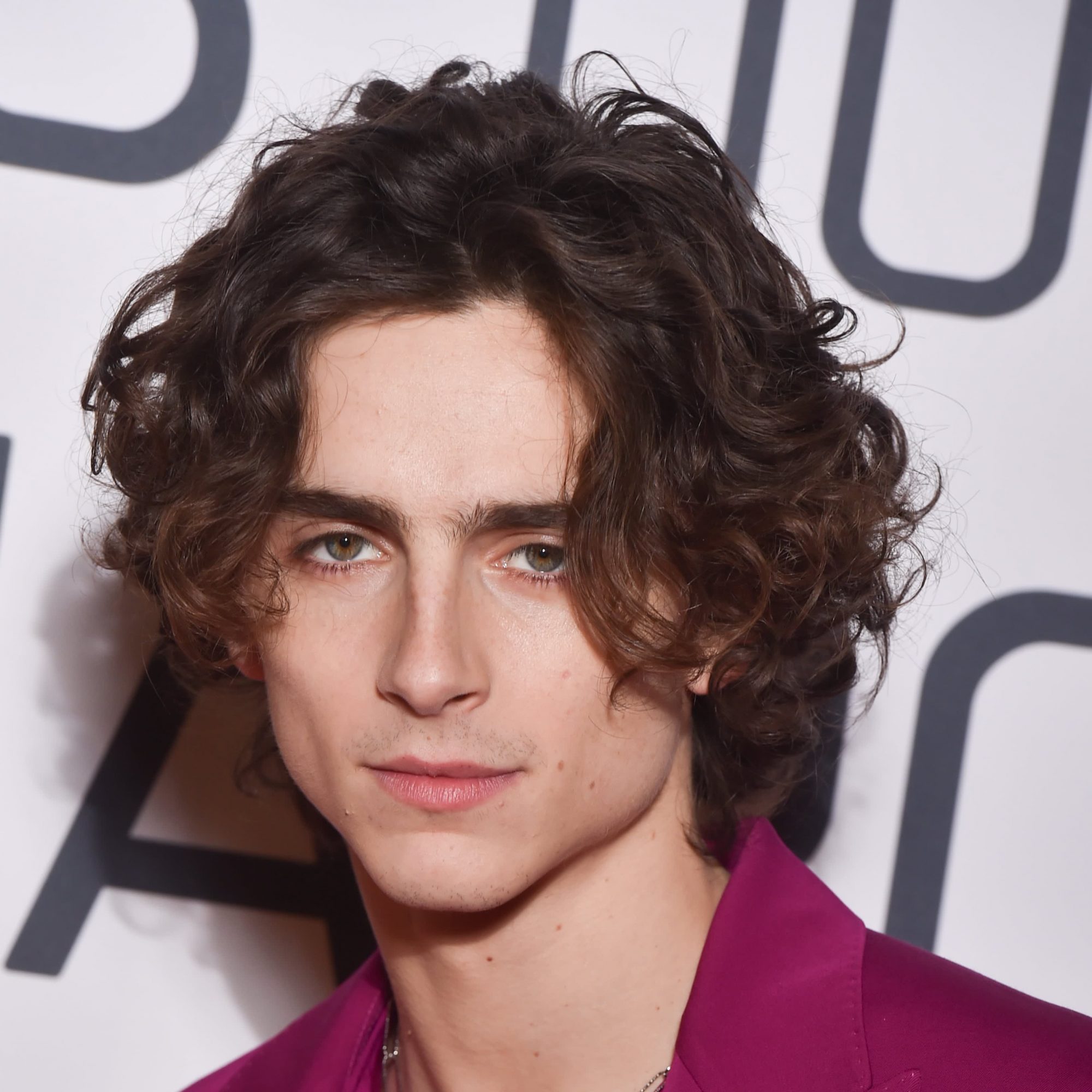 An Ode To Timothée Chalamet's Chiseled, Sharp, And Sexy Jawline ...