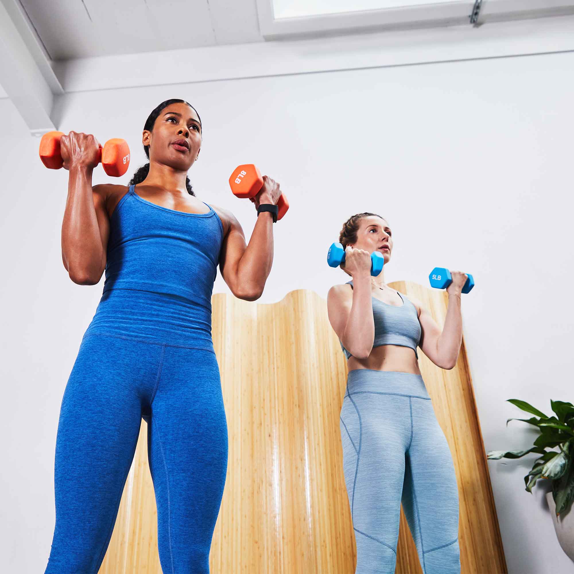 Fitness First Gyms Have Reopened in NSW So Who's Up For a Sweat Sesh ...