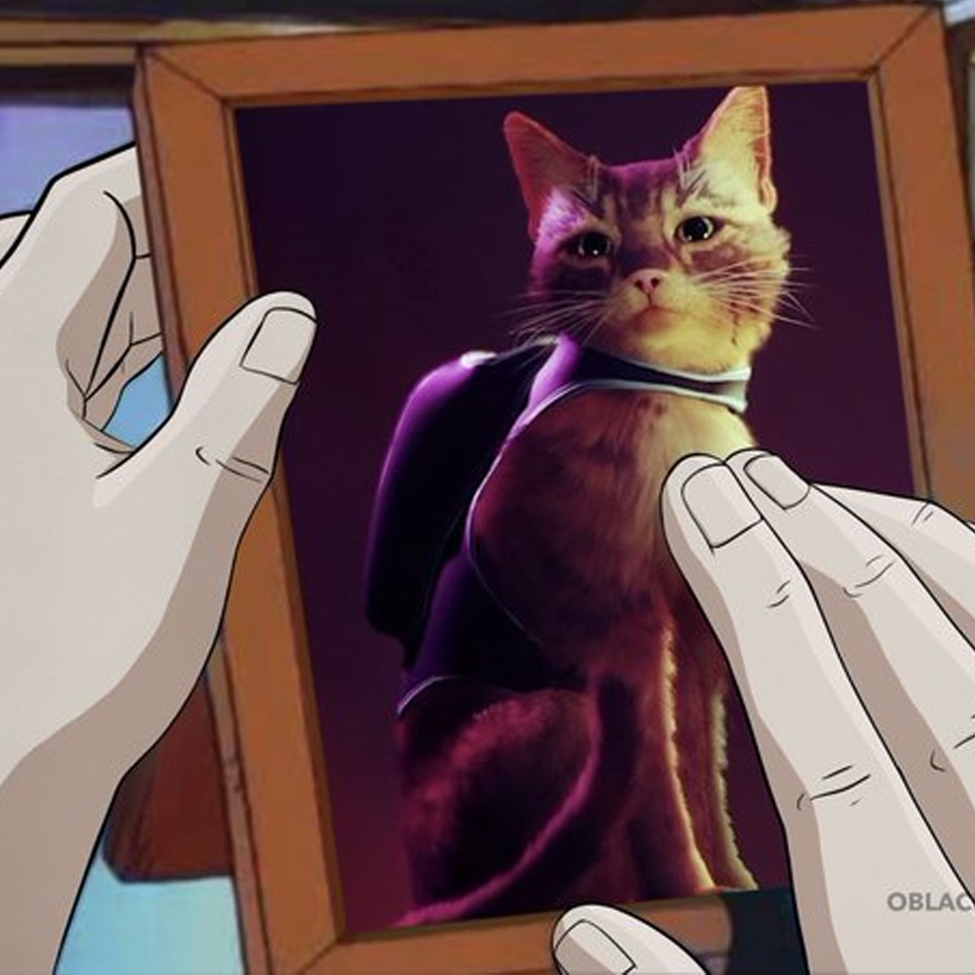 Stray, o jogo do gato, é lançado e internet reage com memes