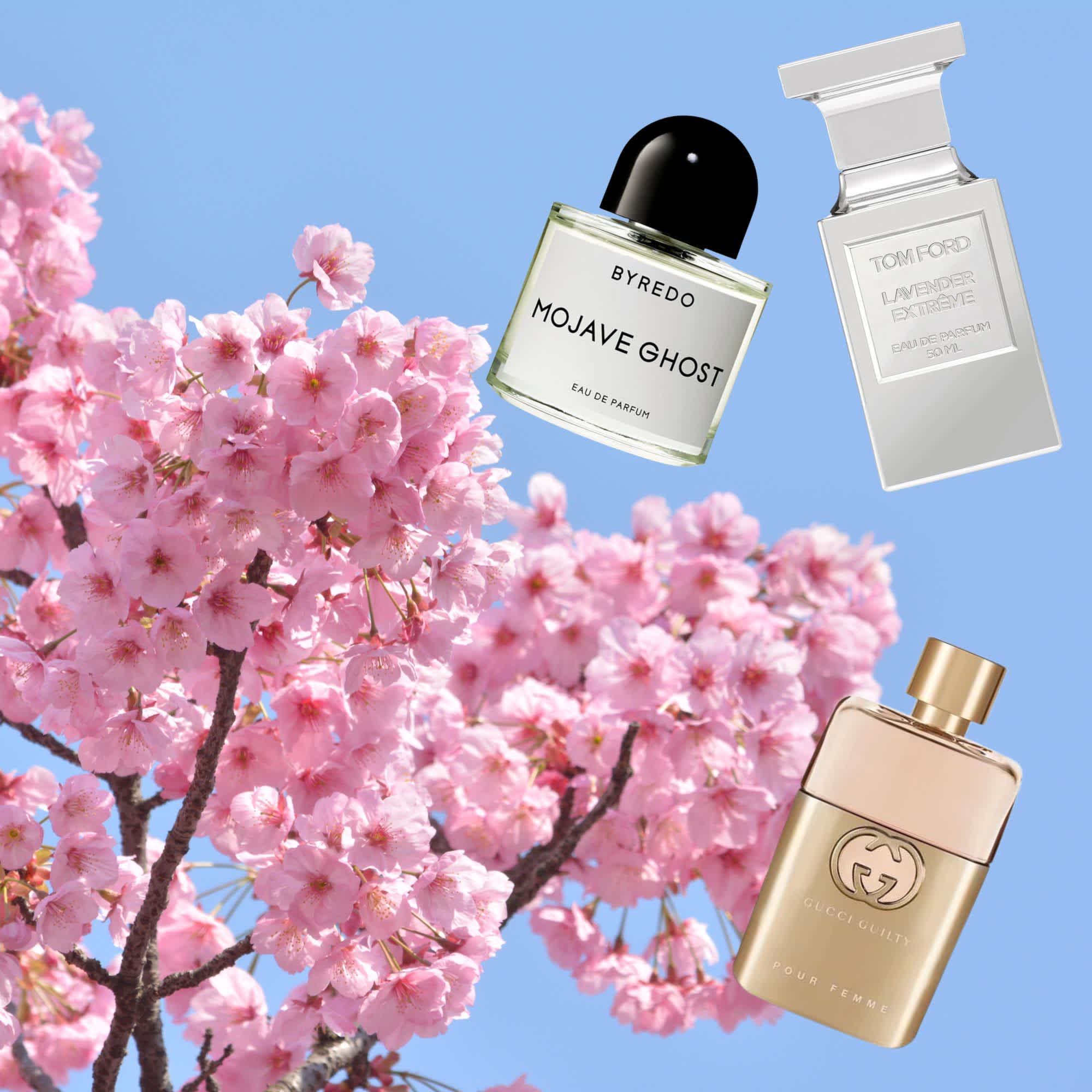 Spring 2022 Preview! Tom Ford Private Rose Garden Collection